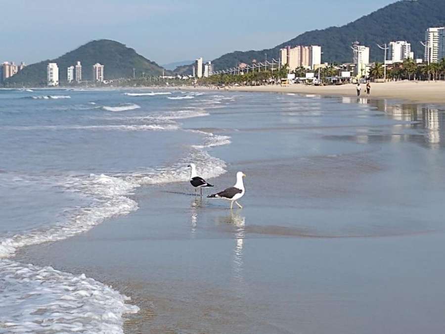 Apartamento Praia da Enseada Guarujá