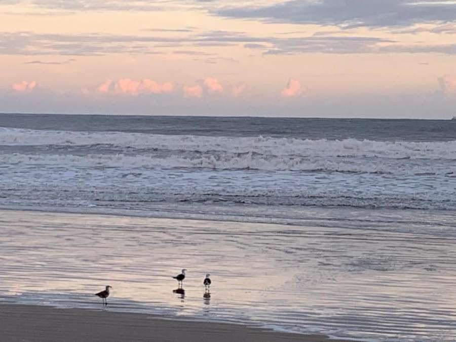 Good Vibes no Guarujá