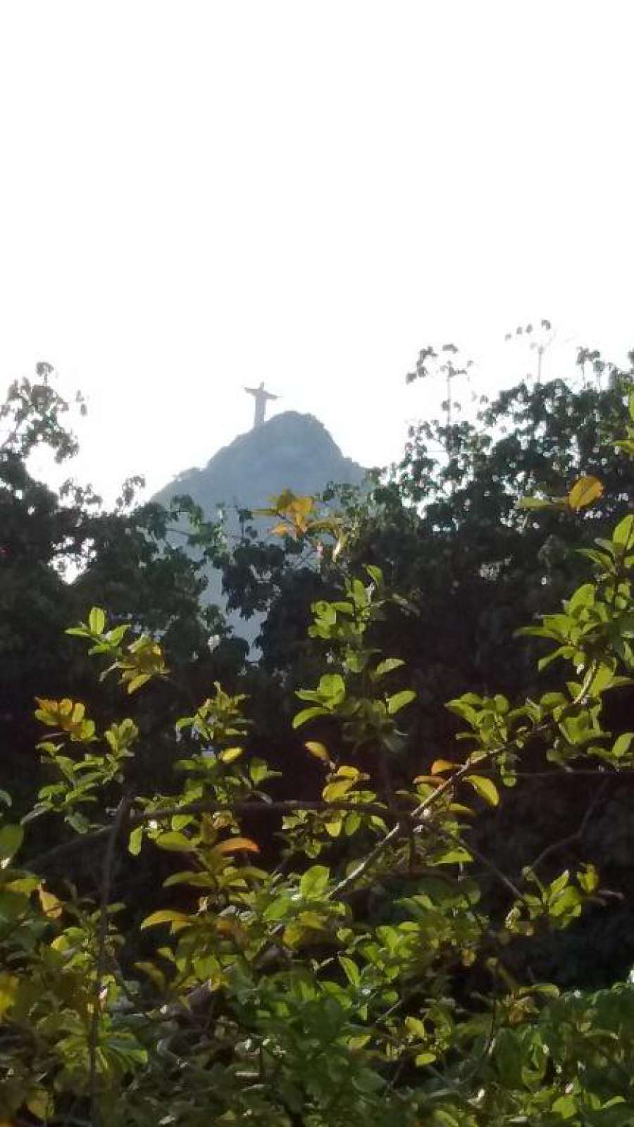 Apartamento Parque Jardim Europa