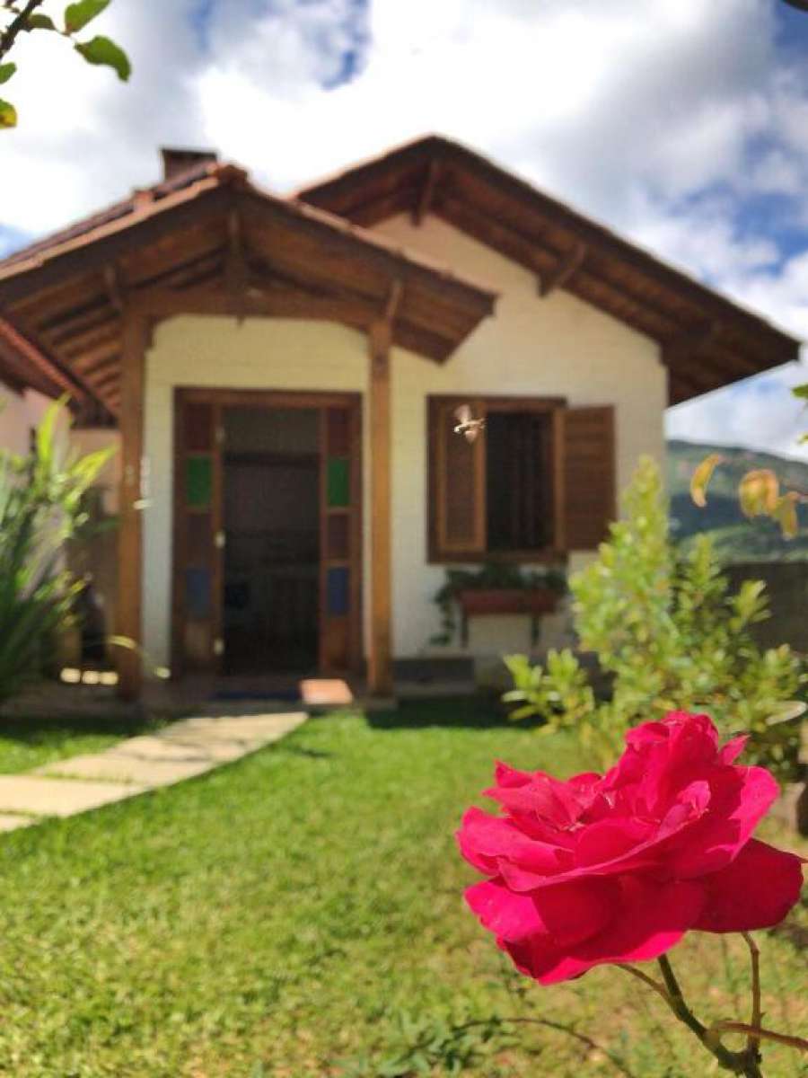 Flor De Minas