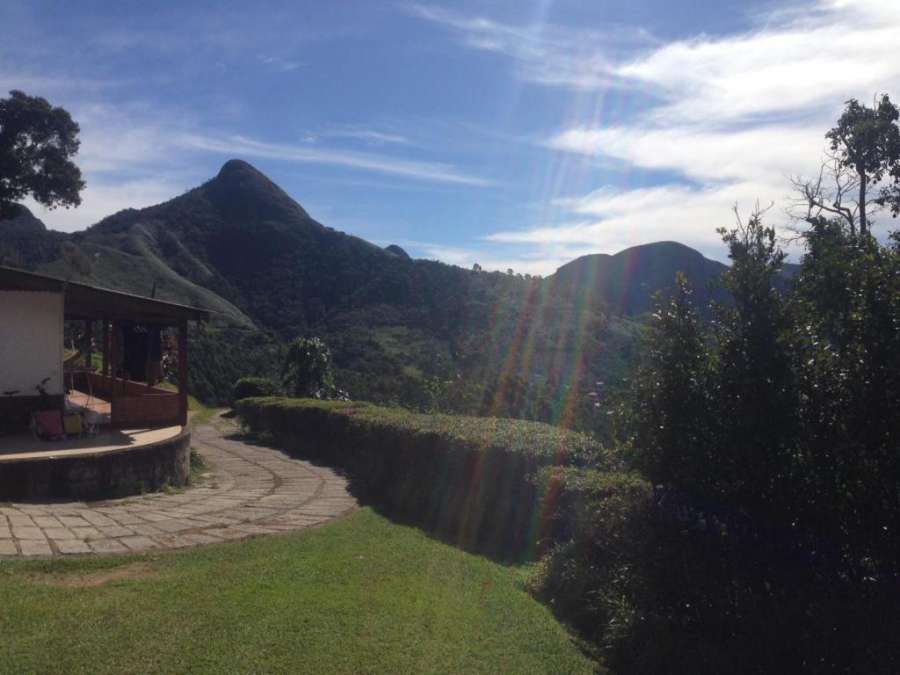 Canto dos Pássaros