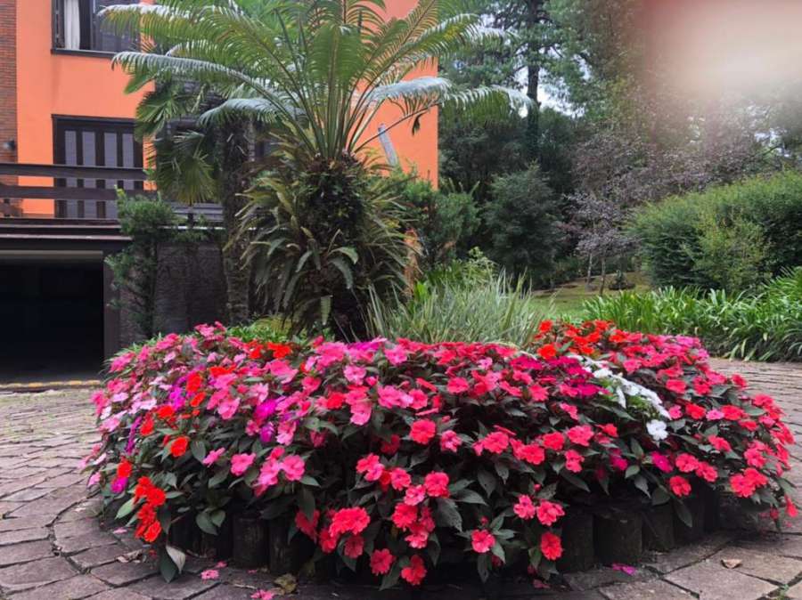 Apartamento Gramado