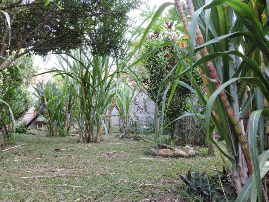 Conexão Hostel