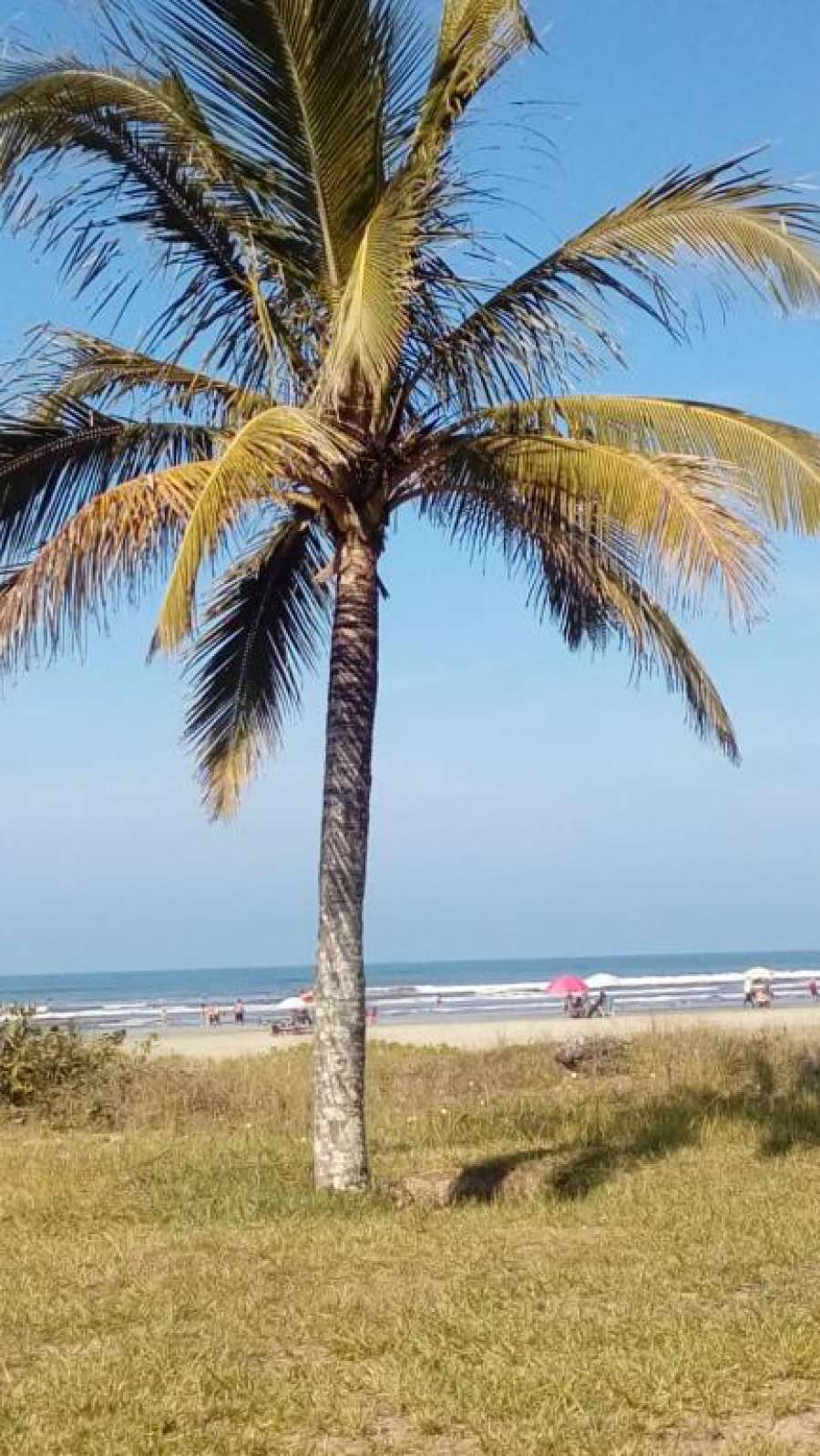 Casa para alugar Itanhaém