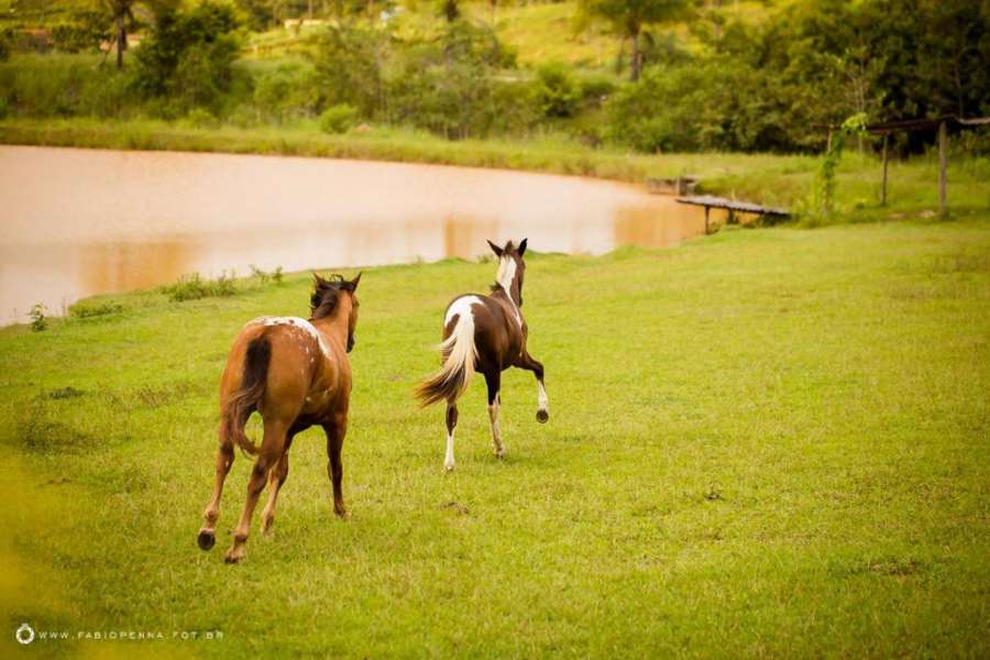 Fazenda Moinho