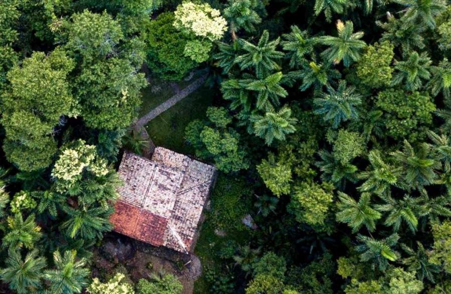 Casa Privativa na Floresta
