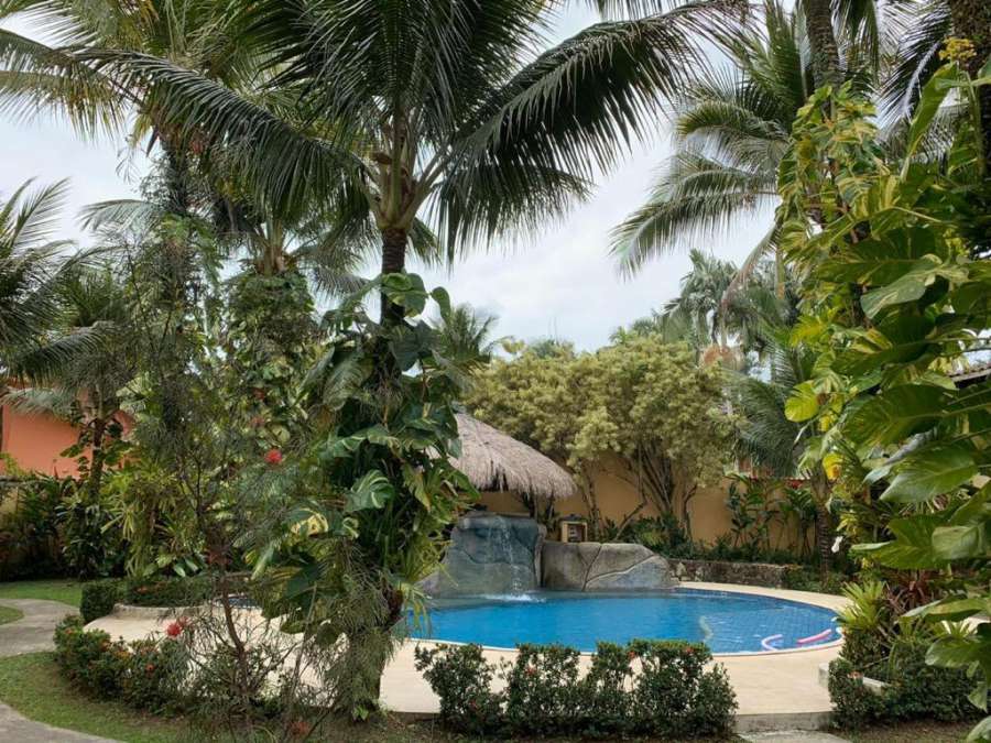 Pequeno paraíso tropical
