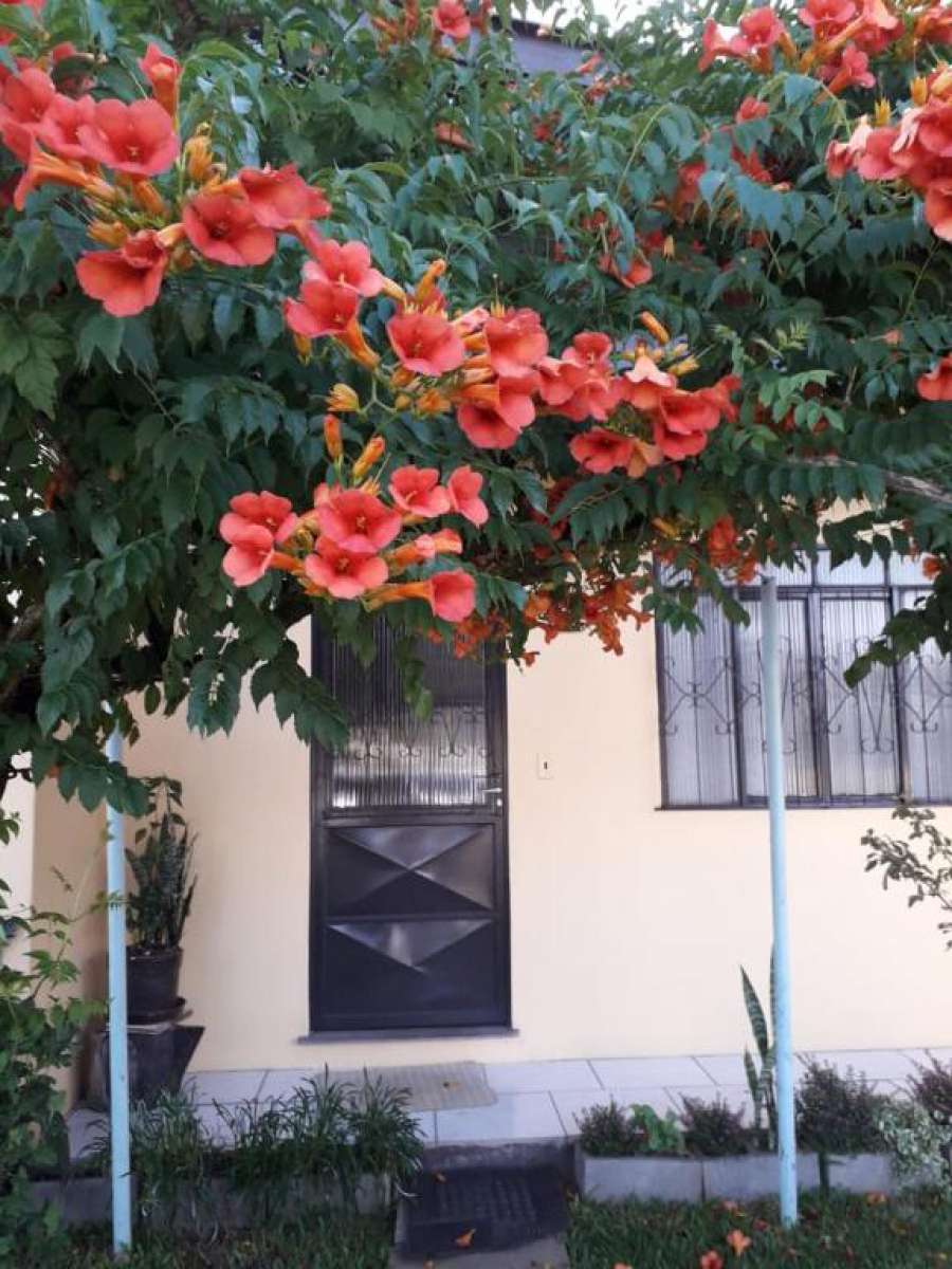 Casa da Família