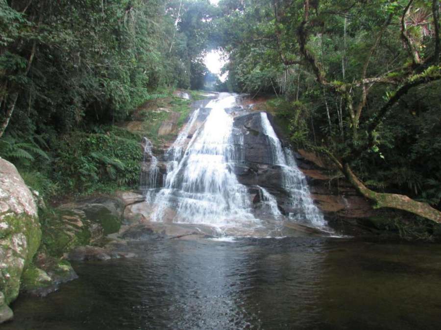 Sitio das bromelias Cachoeira do Tombador