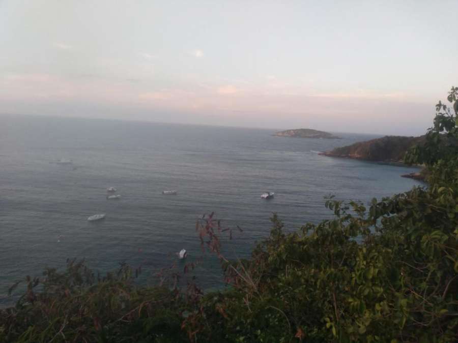 Lar doce lar