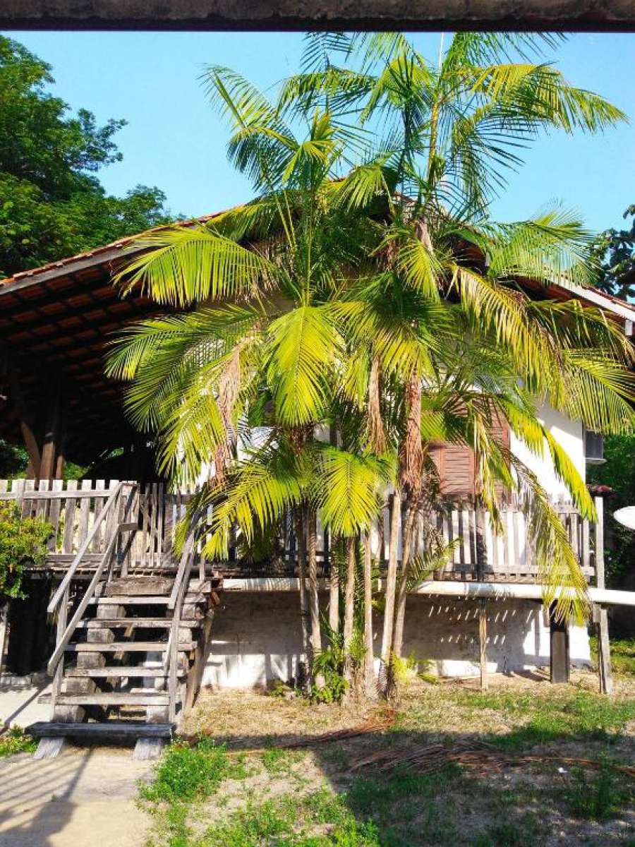 Hospedaria Casa da Palmeira
