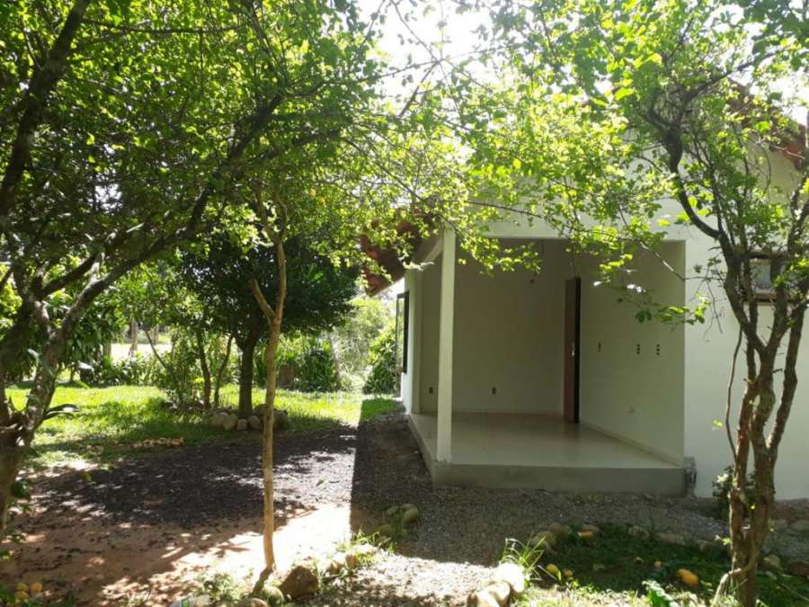 Suíte da Floresta