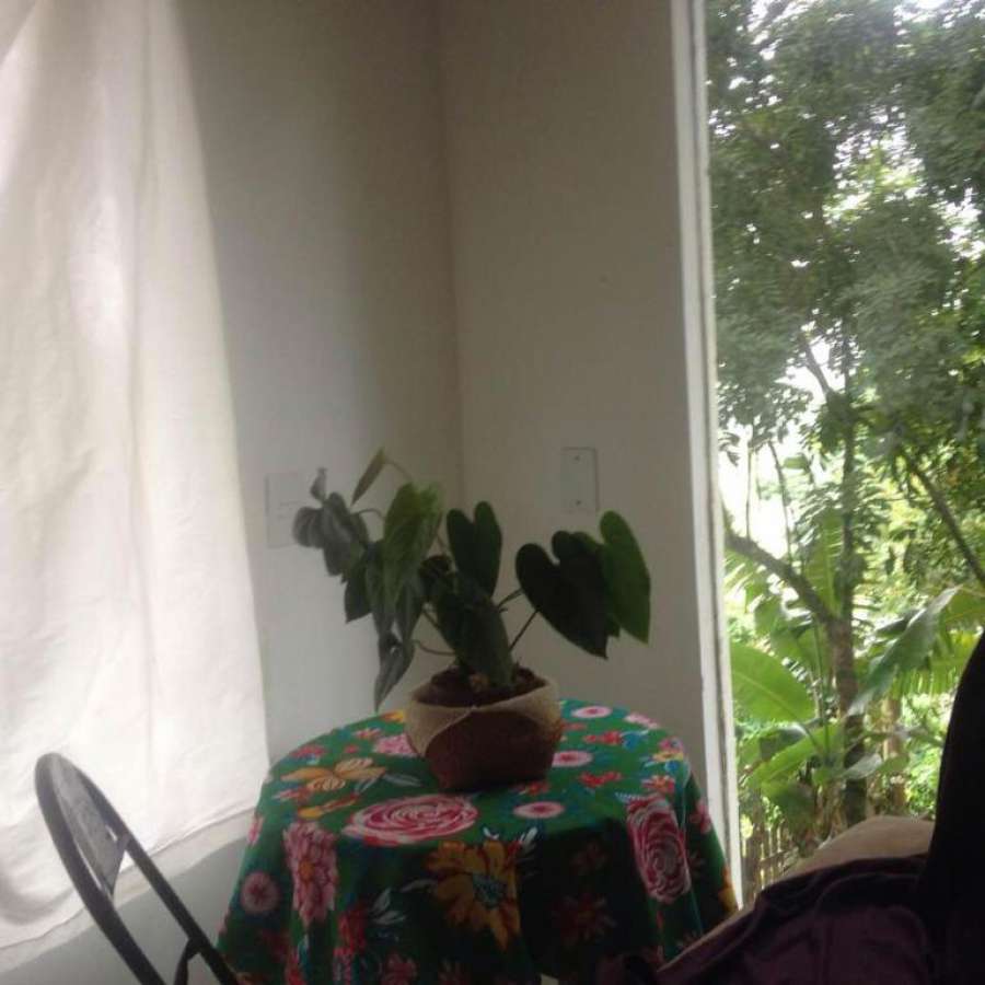 Estudio Mares do Sul