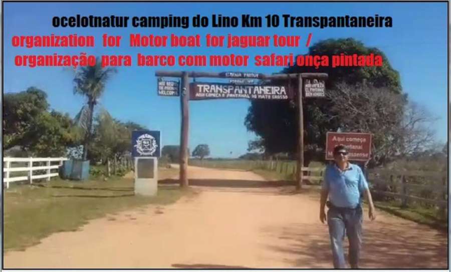 ocelotnatur Pantanal camping do Lino