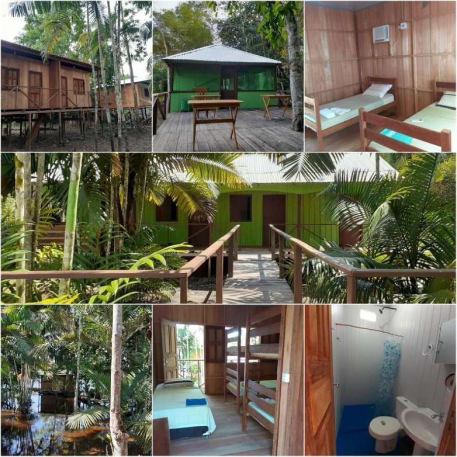Seringal jungle Lodge
