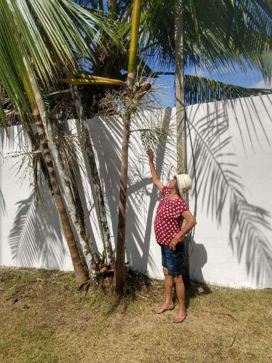 Morada do Sol