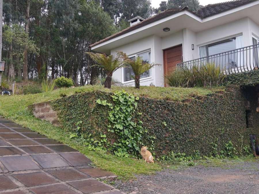 Colina Nosso Lar