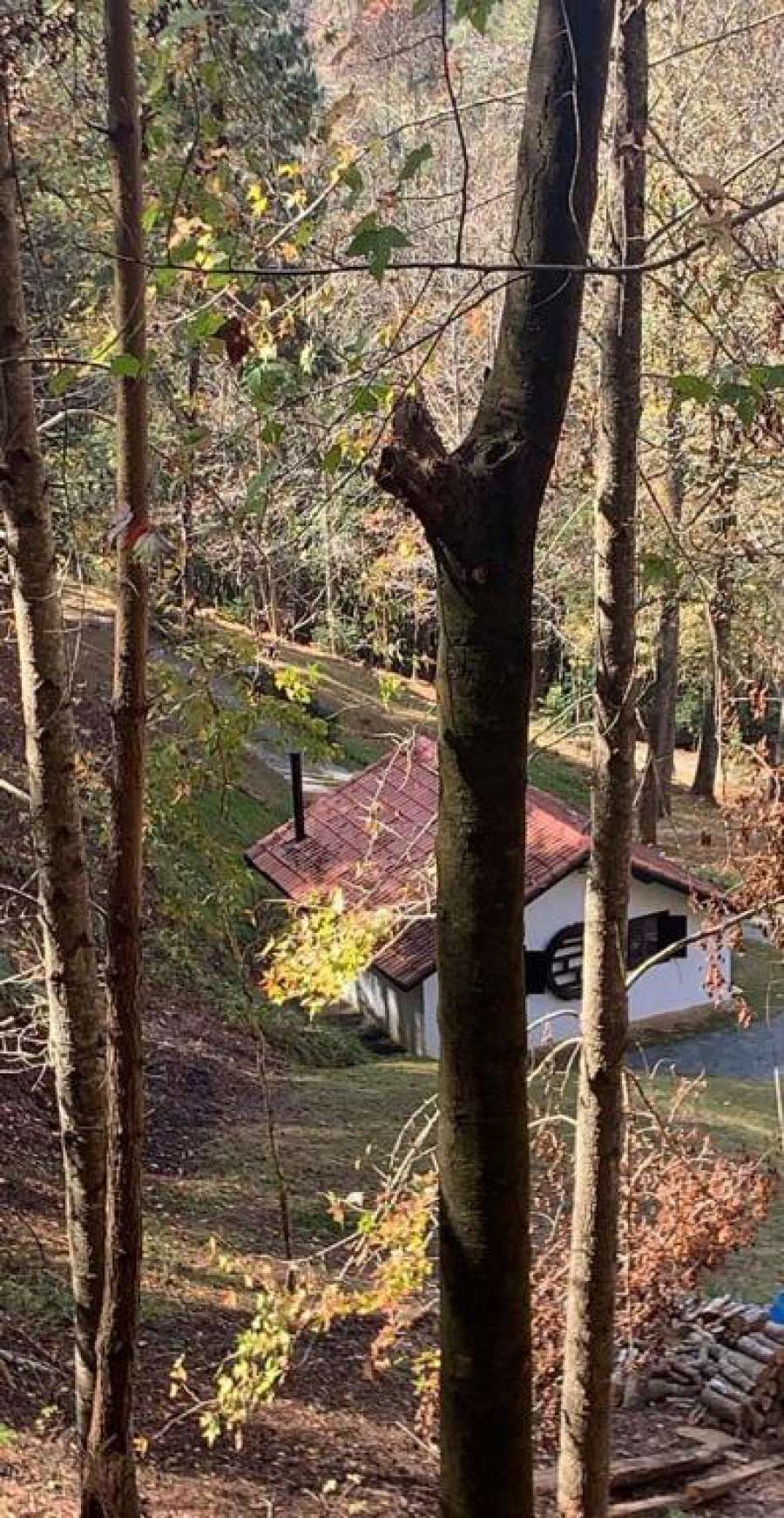 Sítio Nossa Floresta
