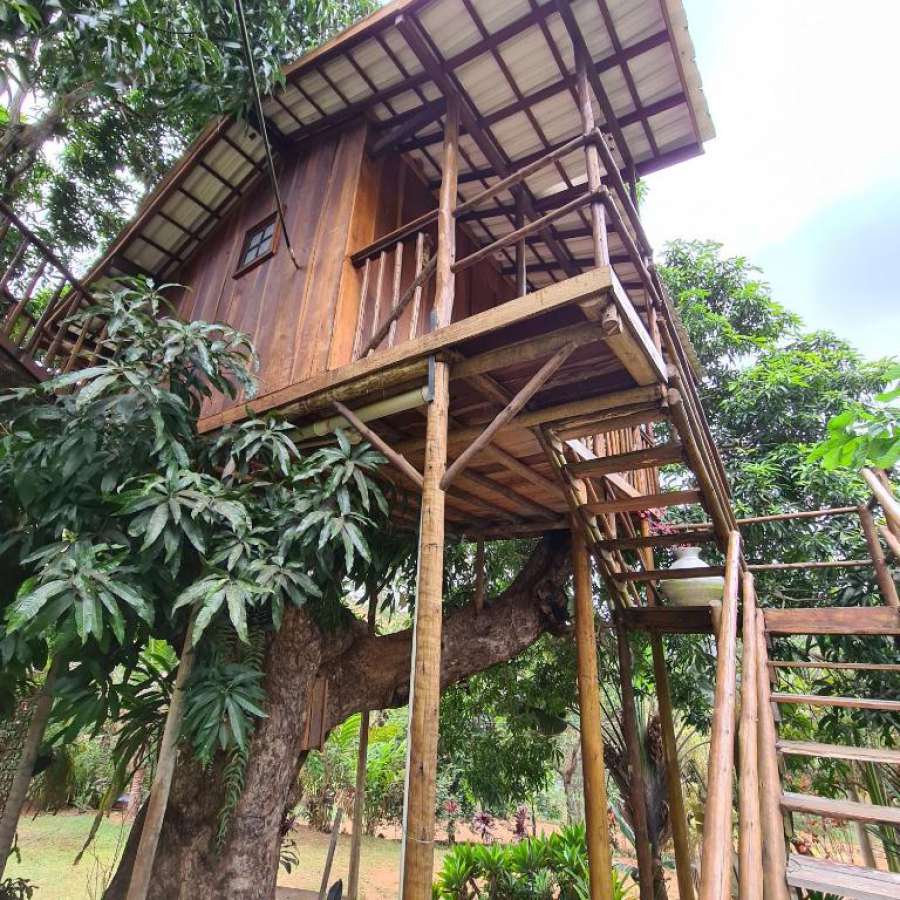 Casa na Árvore espetacular