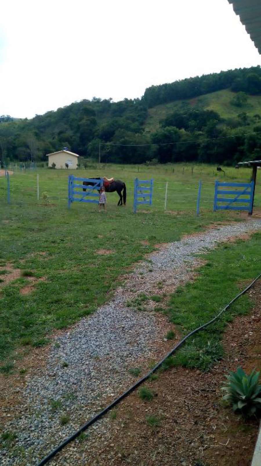 Camping fazenda cruz