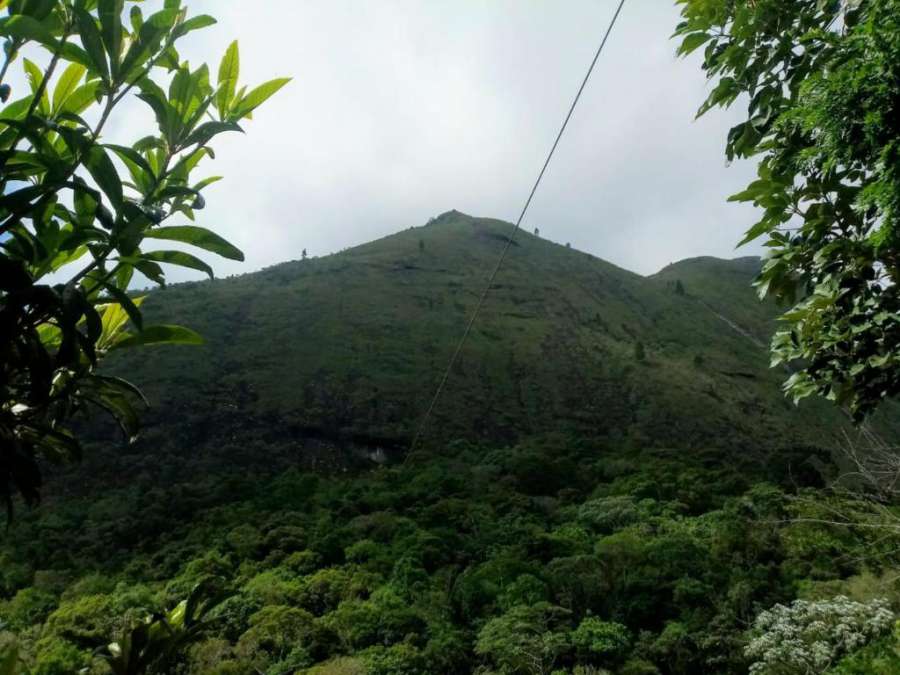 Casa de Campo - Vale das Videiras - Petrópolis RJ