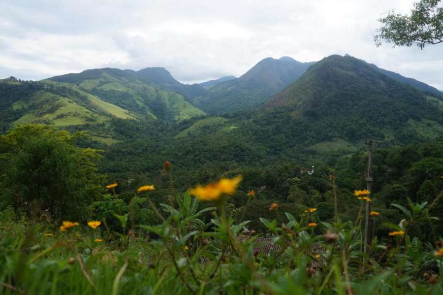 Vereda Tropical