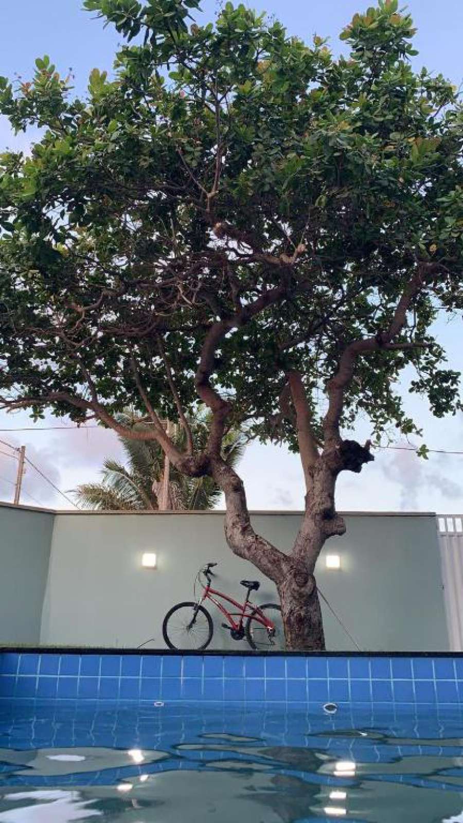 Casa Meu pé de Cajú