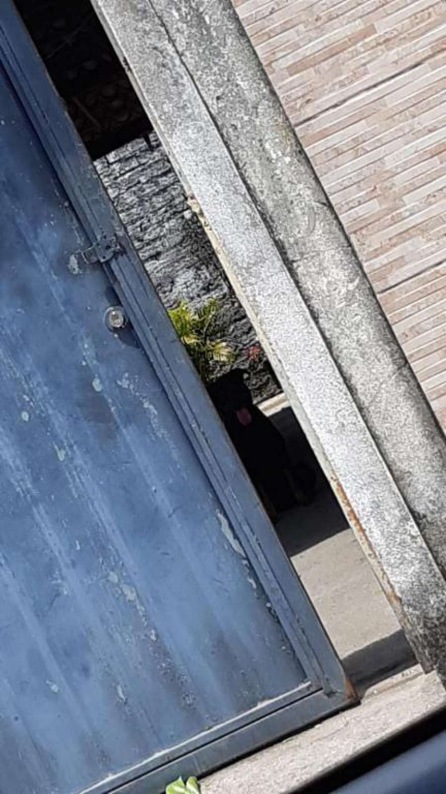 portão enferrujado