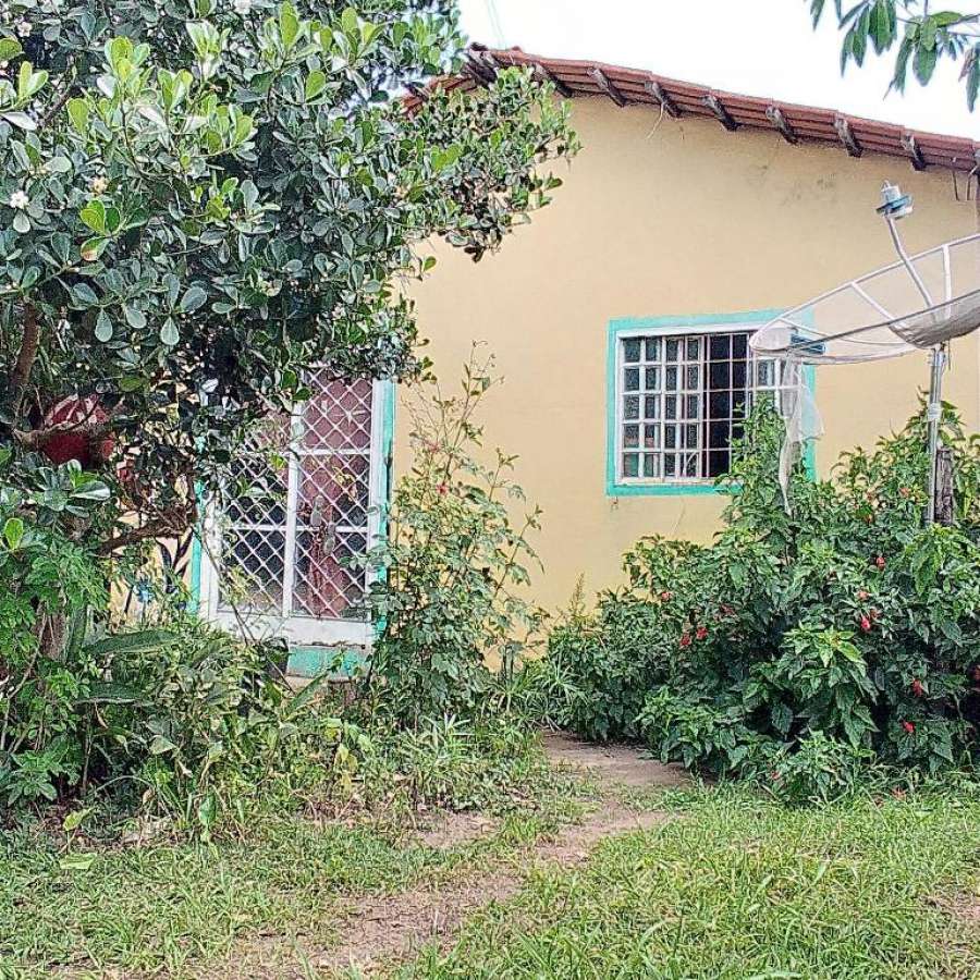 Casa jequitibar