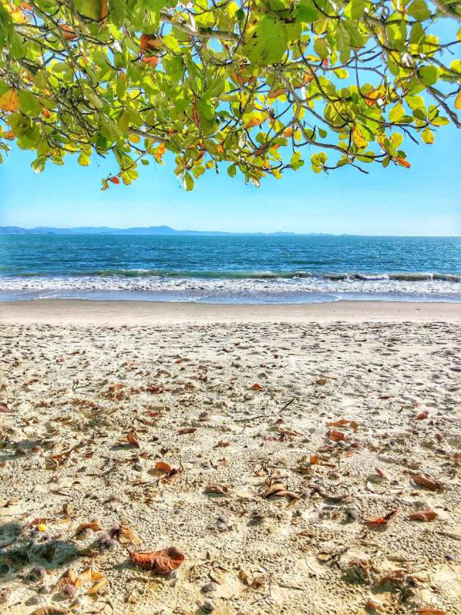 Verão em Floripa - Casa de Praia