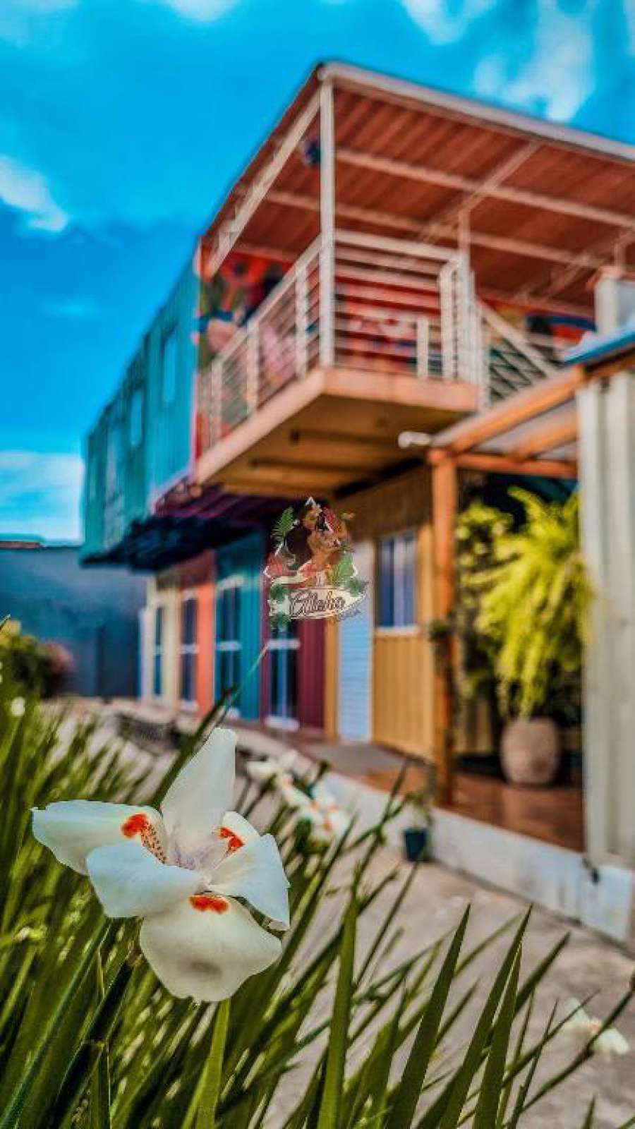 Aloha Oe Itaguá