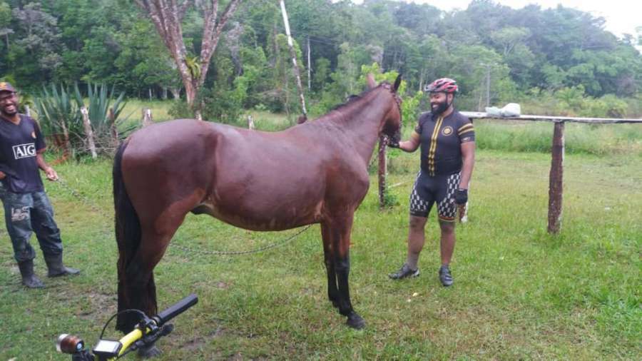 Fazenda Dona Nai Frutuosa