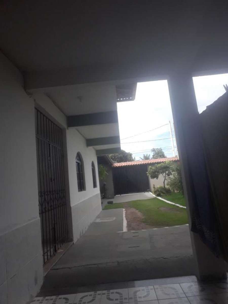 Ponta da fruta