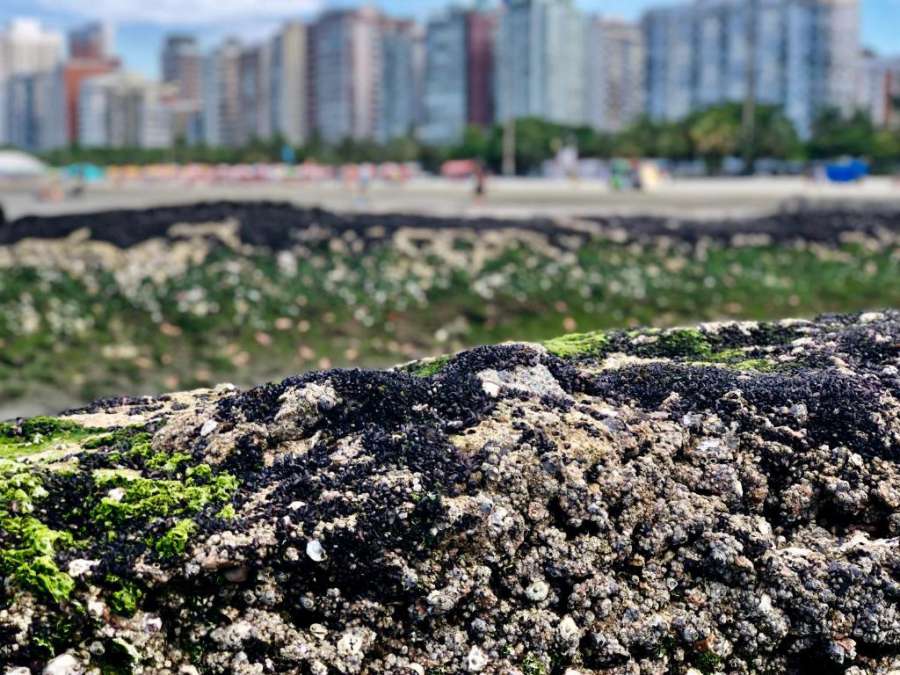 Santos Vista incrível! Tudo novo.