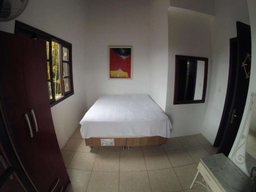 Pinheira Vigia das Baleias