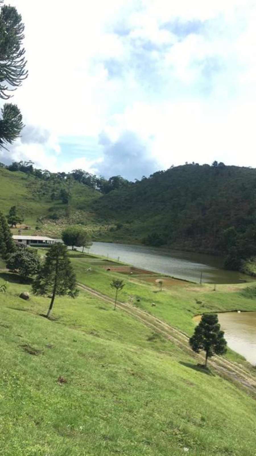 Fazenda Figueiredo ISOLAMENTO