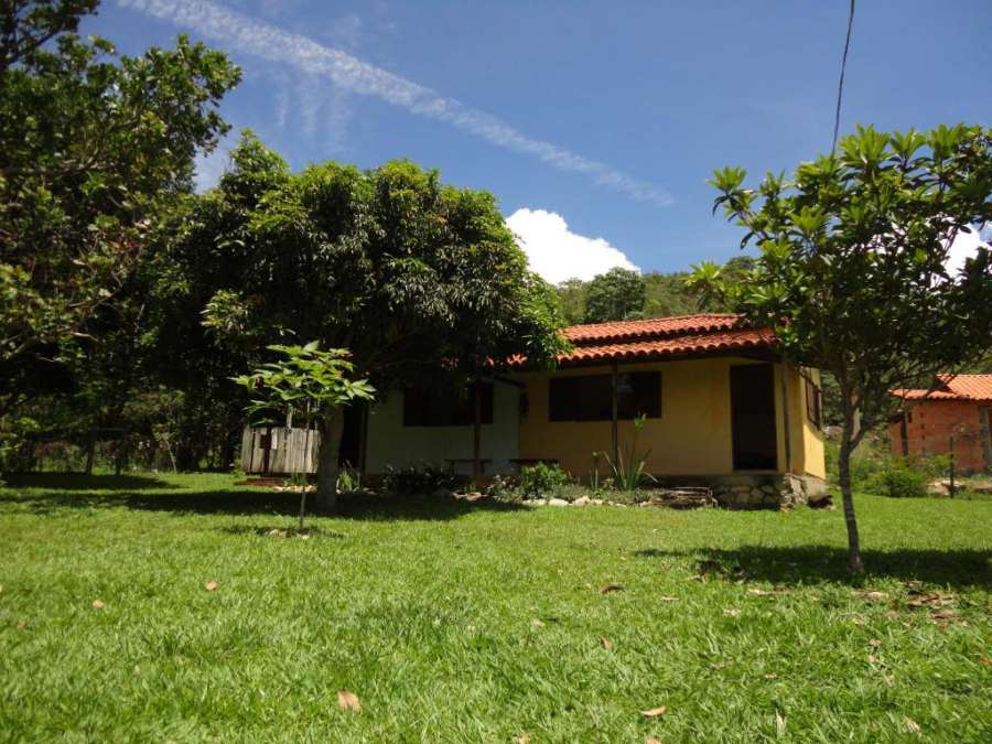 Suíte Amarela em MILHO VERDE
