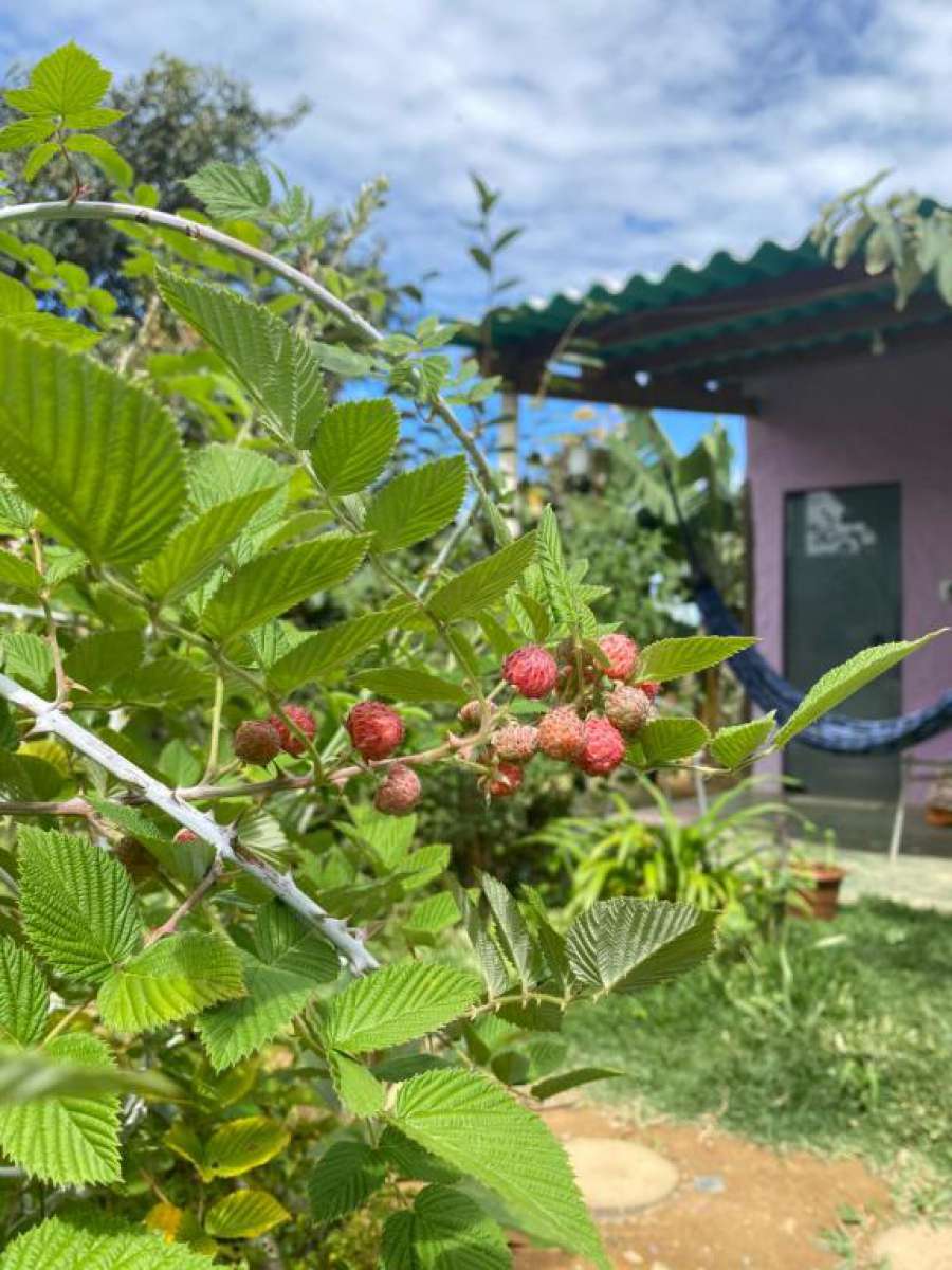 Tenda da Lua - Suíte & Varanda individual
