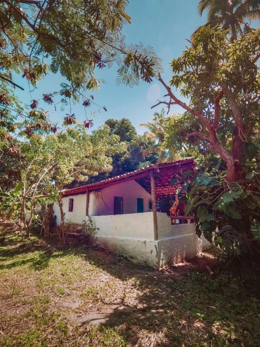 Jungle House Pipa