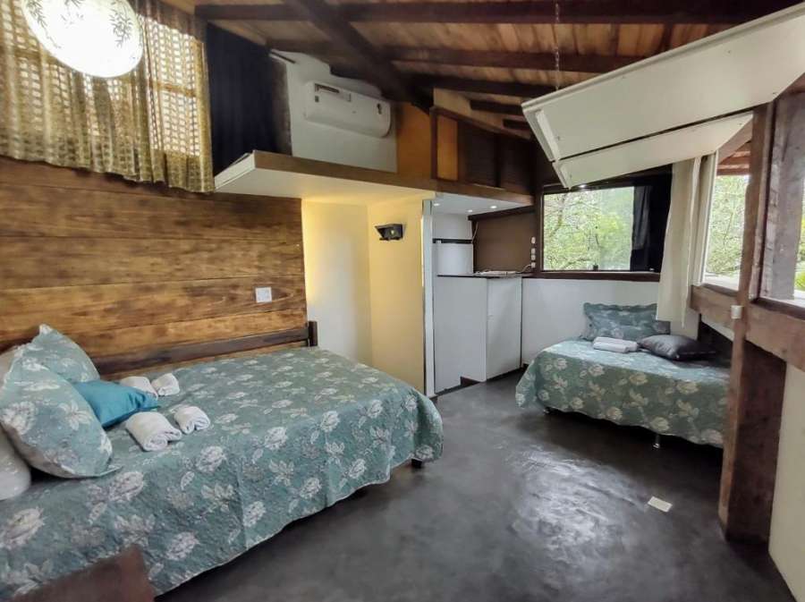 apartamento na Árvore
