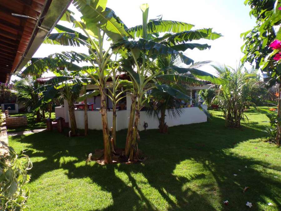 Pousada Casa Do Cocotier