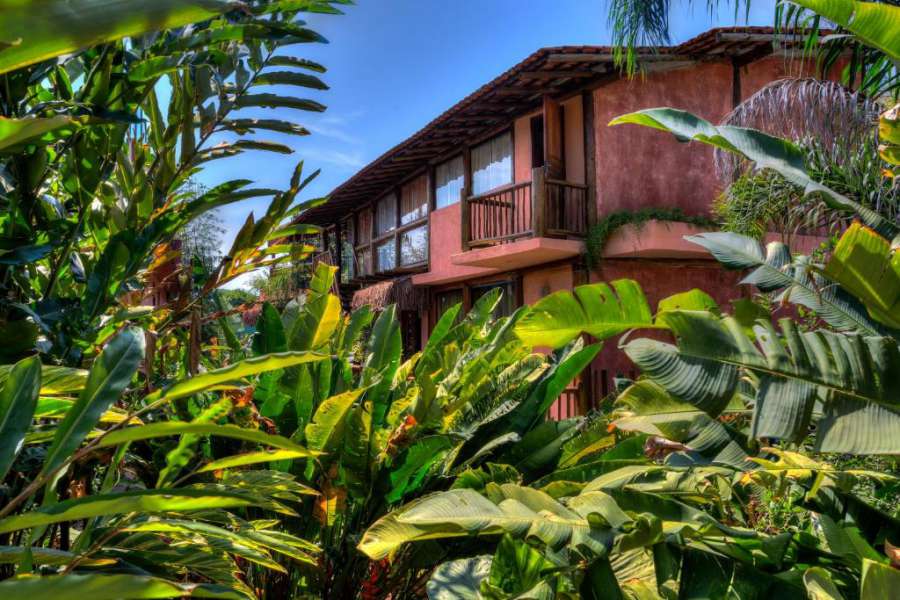 Sea View Tropical Nature