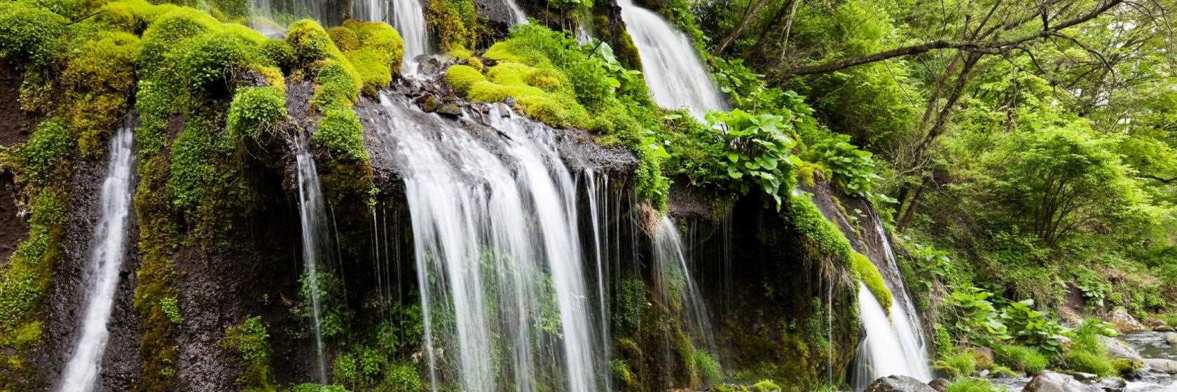 Caldas Novas