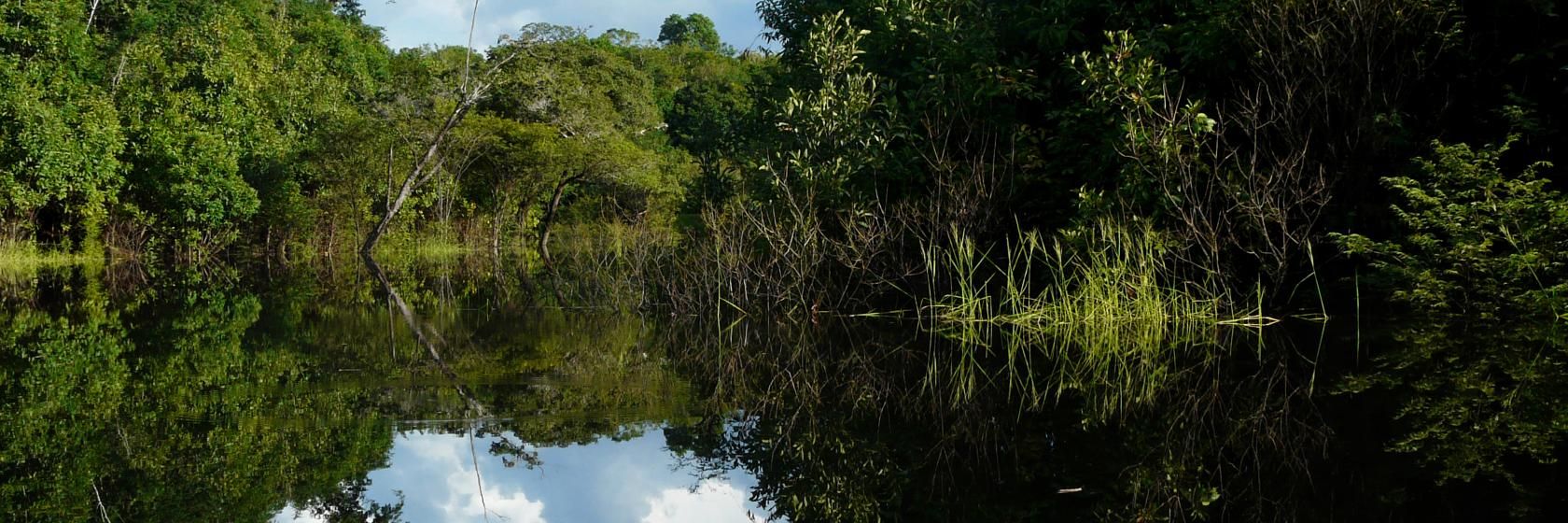 Santo Amaro da Imperatriz