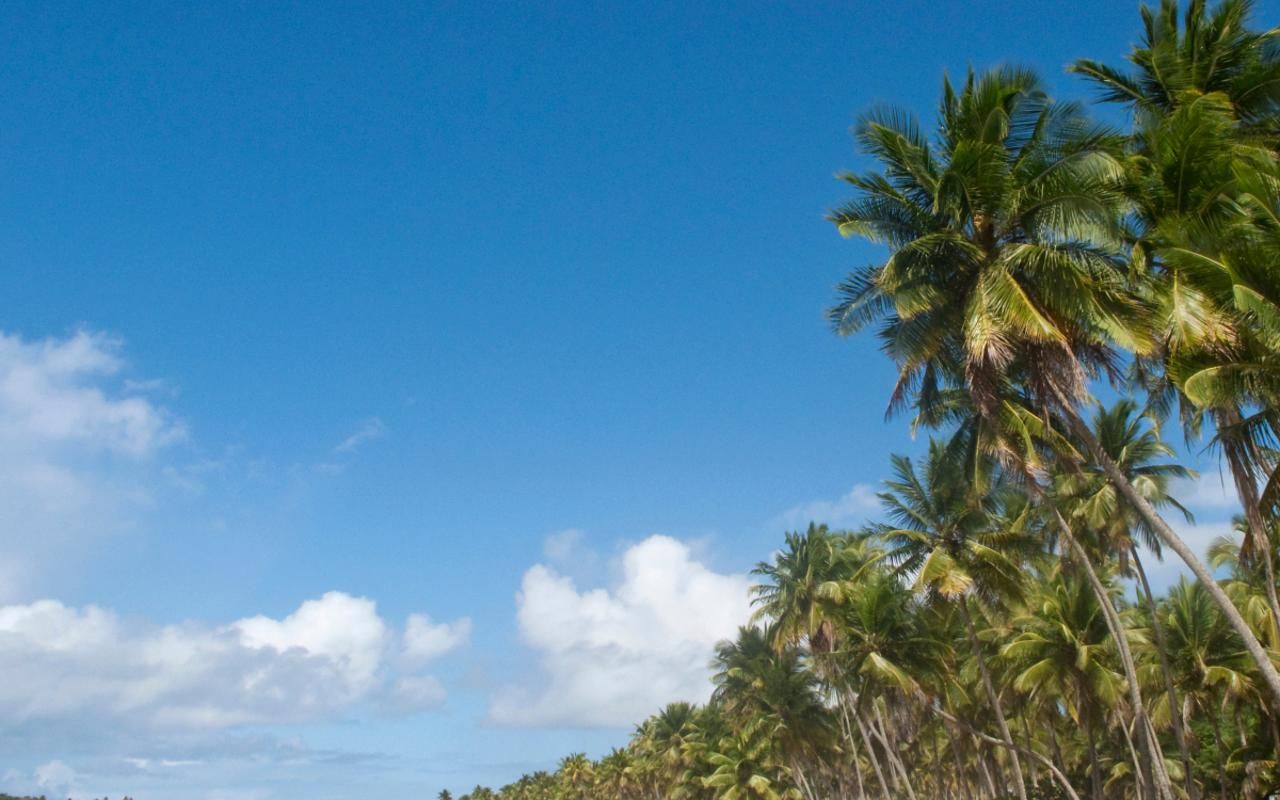 Ilha de Boipeba