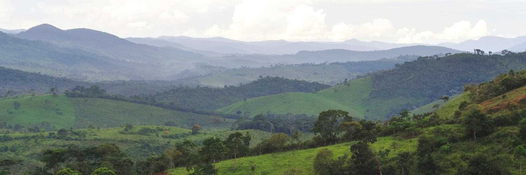 Monte Verde