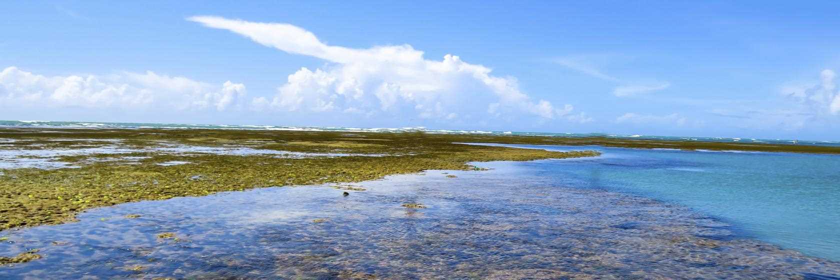 Praia do Espelho