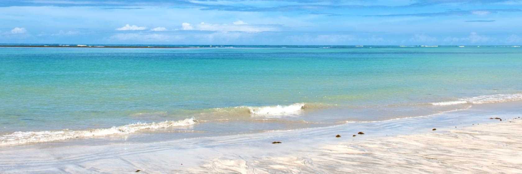 Tamandaré