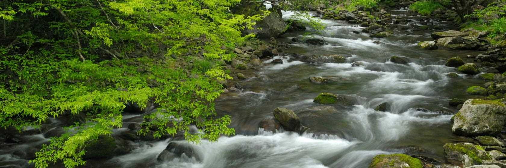 Alto Paraíso de Goiás