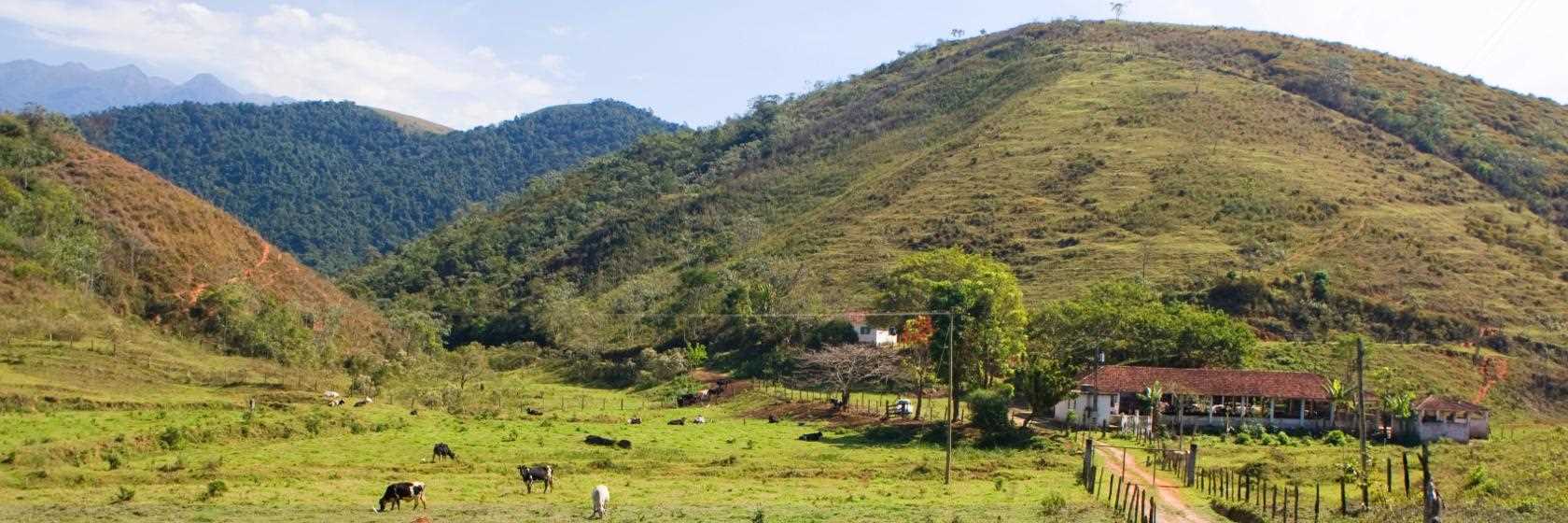 Gonçalves